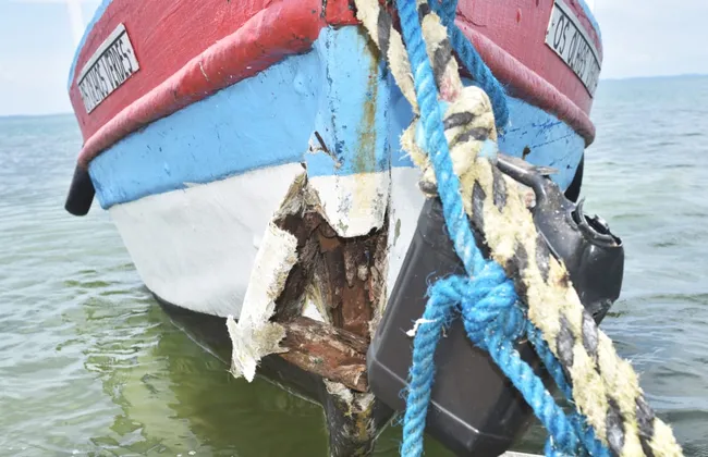 Imagem ilustrativa da imagem 