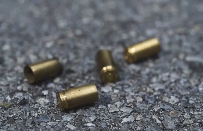 Imagem ilustrativa da imagem 