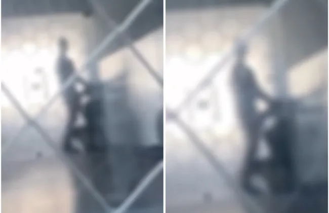 Imagem ilustrativa da imagem 