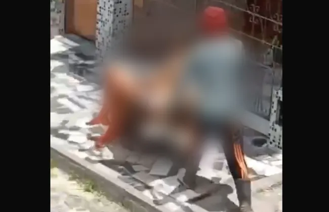 Imagem ilustrativa da imagem 