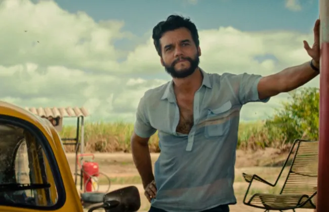 Imagem ilustrativa da imagem 