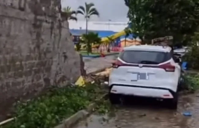 Imagem ilustrativa da imagem 