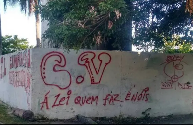 Imagem ilustrativa da imagem 