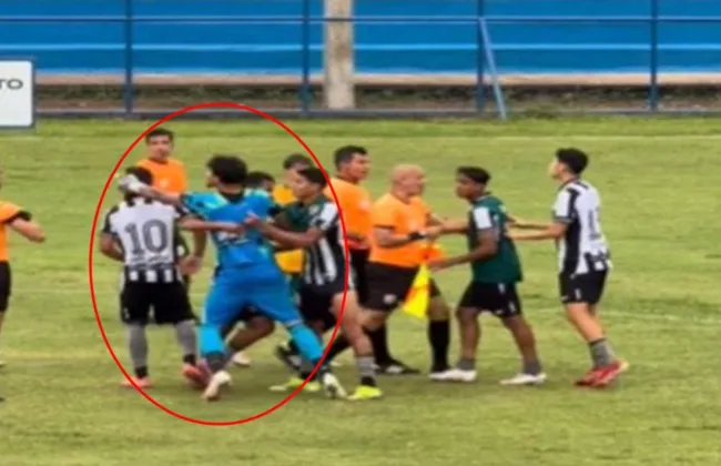 Imagem ilustrativa da imagem 