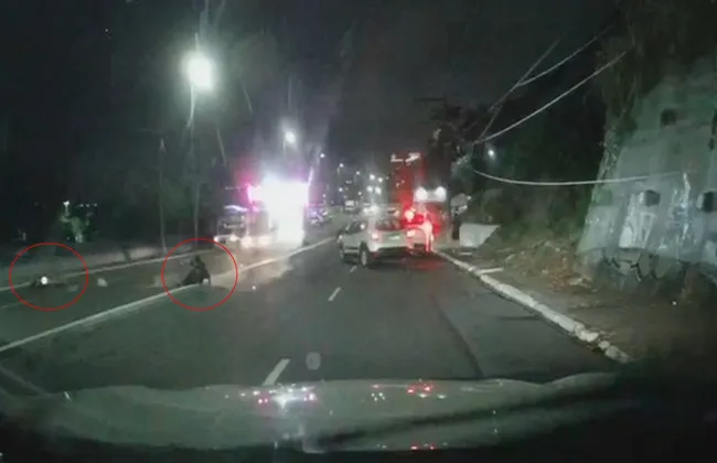 Imagem ilustrativa da imagem 