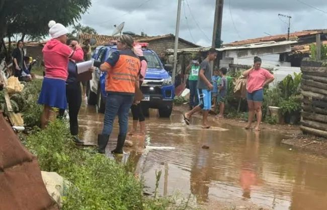 Imagem ilustrativa da imagem 