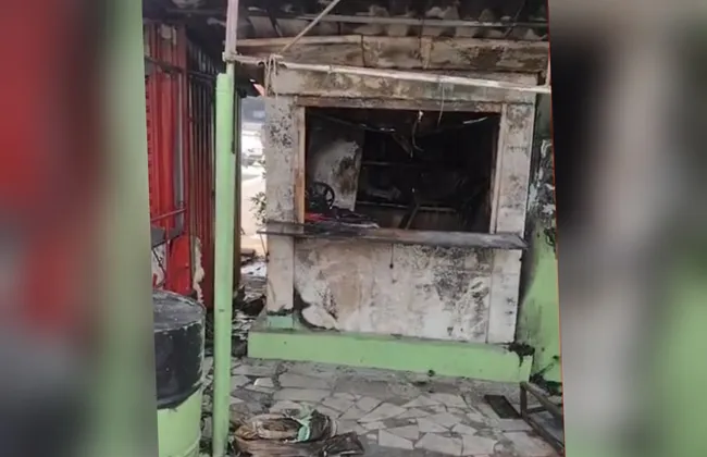 Imagem ilustrativa da imagem 