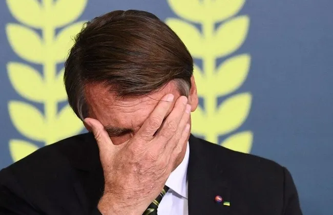 Imagem ilustrativa da imagem 