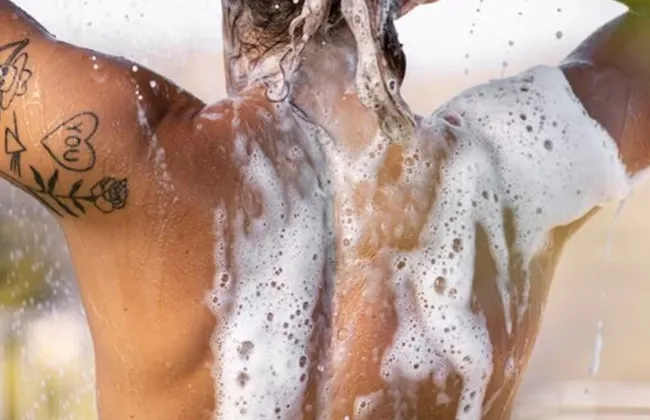 Imagem ilustrativa da imagem 