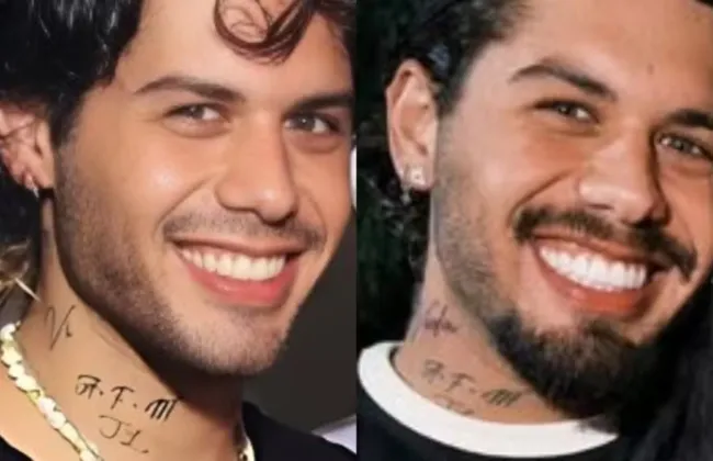 Imagem ilustrativa da imagem 