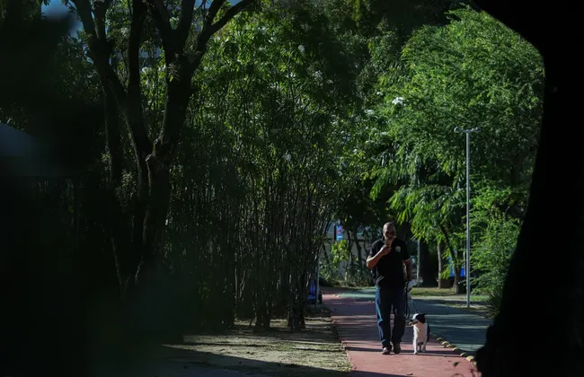 Imagem ilustrativa da imagem 