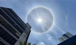 Imagem ilustrativa da imagem 