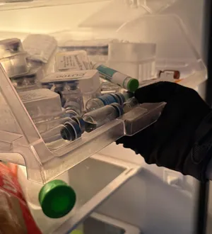 Imagem ilustrativa da imagem Venda clandestina de canetas emagrecedoras é alvo de operação