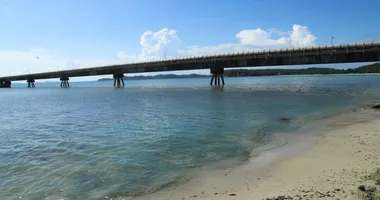 Imagem ilustrativa da imagem Empresa tem atividades suspensas por contaminação em praia do Subúrbio