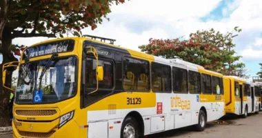 Imagem ilustrativa da imagem Salvador terá ônibus exclusivo para aulão preparatório do Enem