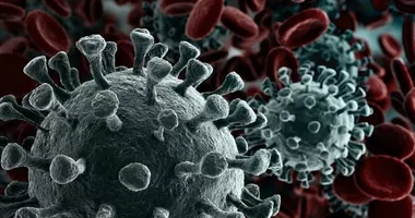 Imagem ilustrativa da imagem Nova variante da Covid-19 é identificada em diversos países