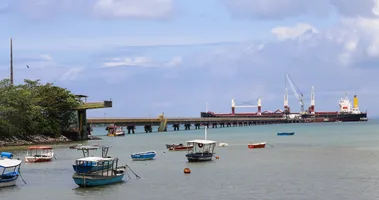 Imagem ilustrativa da imagem Possível contaminação no mar da Suburbana enfraquece pescadores