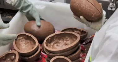 Imagem ilustrativa da imagem Vagas para curso de produção de ovo da Páscoa são ofertadas na Bahia