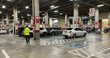 Imagem ilustrativa da imagem Vagas prioritárias em estacionamentos são ocupadas por quem não deve