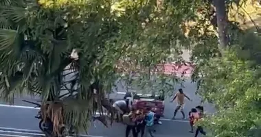 Imagem ilustrativa da imagem Vídeo: carro capota no Dique do Tororó e mobiliza equipes de socorro