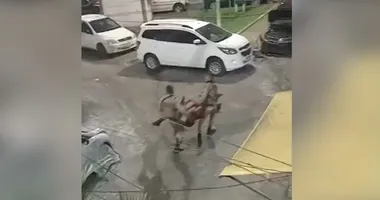 Imagem ilustrativa da imagem Vídeo: PM e outras três pessoas são baleados na Vasco da Gama