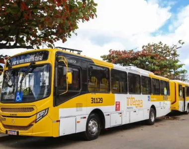 O Mega Aulão é gratuito e começará às 8h, reunindo milhares de alunos no Centro de Convenções