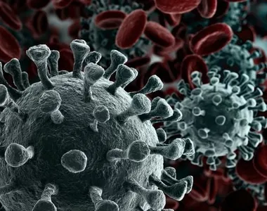 Nova variante foi identificada em mais de 30 países