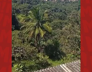 Homens são encontrados mortos em zona de mata em Cajazeiras V