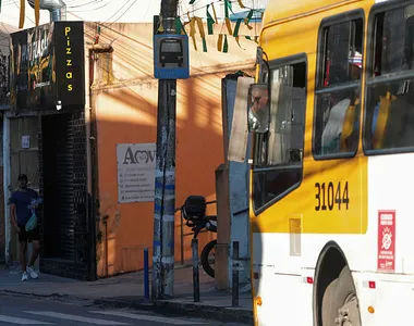 Dados mostram diminuição das ocorrências