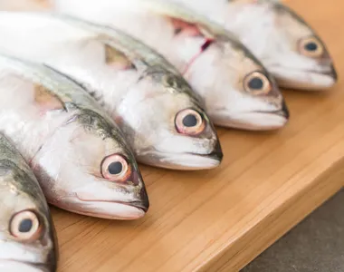 Características visuais ajudam a identificar a qualidade do produto