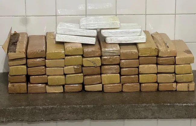 Imagem ilustrativa da imagem 