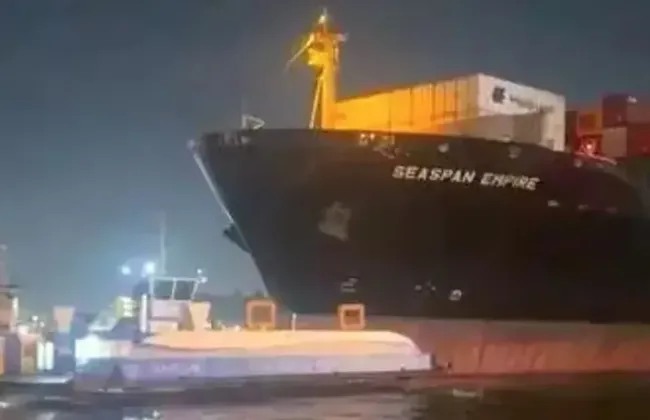 Imagem ilustrativa da imagem 