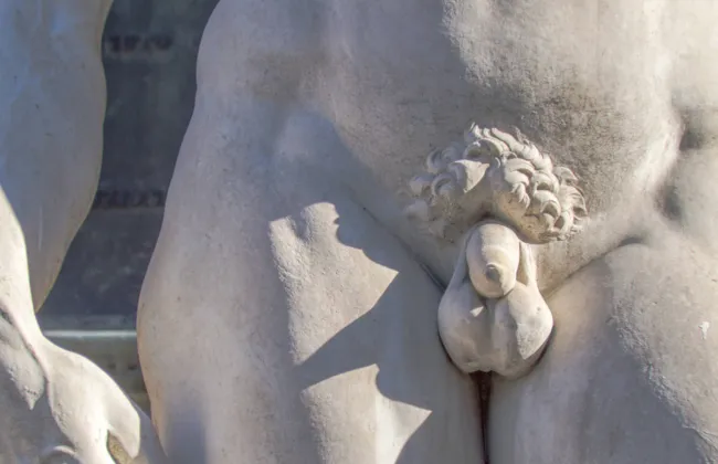 Imagem ilustrativa da imagem 