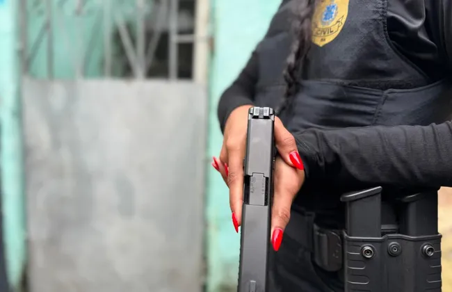 Imagem ilustrativa da imagem 