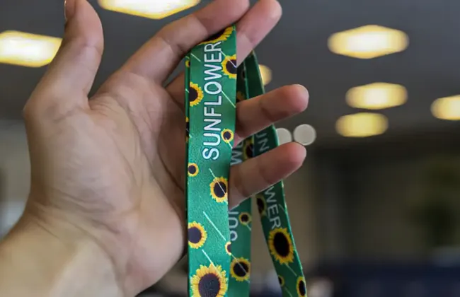 Imagem ilustrativa da imagem 