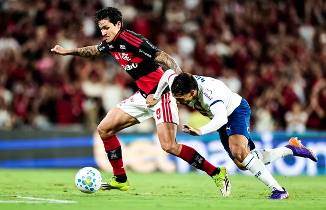 Imagem ilustrativa da imagem 