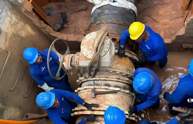 Imagem ilustrativa da imagem 