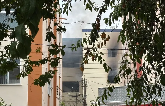 Imagem ilustrativa da imagem 