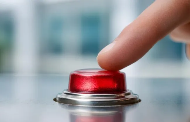 Imagem ilustrativa da imagem 