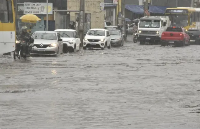 Imagem ilustrativa da imagem 