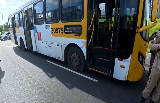 Imagem ilustrativa da imagem 