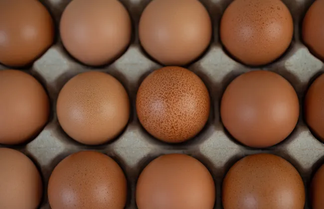 Imagem ilustrativa da imagem 