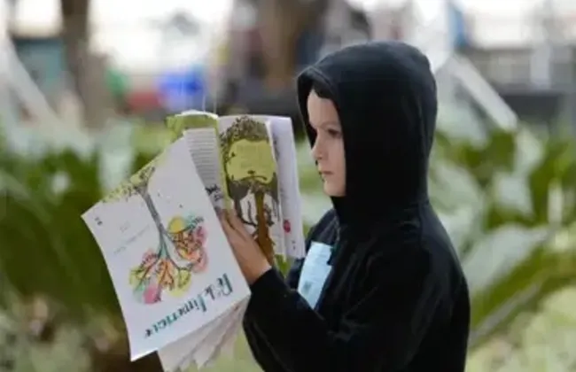 Imagem ilustrativa da imagem 