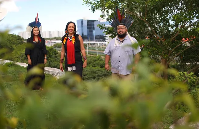 Imagem ilustrativa da imagem 