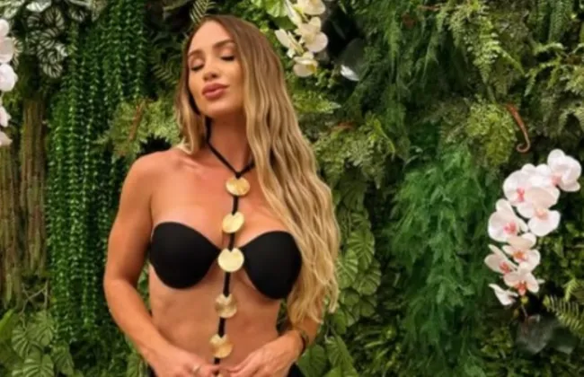 Imagem ilustrativa da imagem 