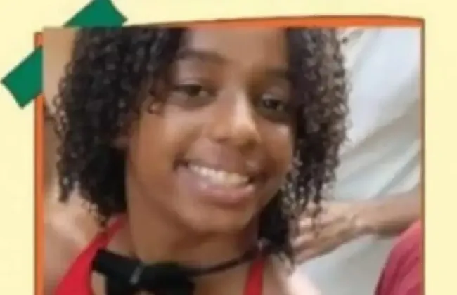 Imagem ilustrativa da imagem 