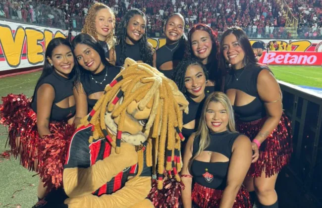 Imagem ilustrativa da imagem 