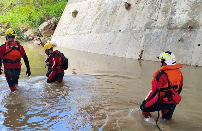 Imagem ilustrativa da imagem 