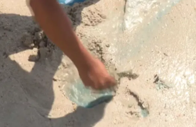 Imagem ilustrativa da imagem 