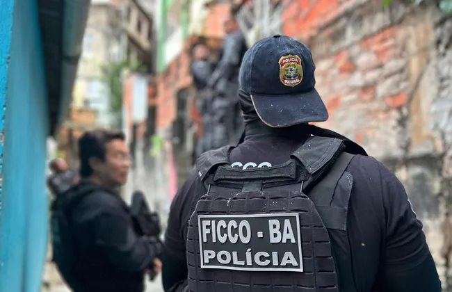 Imagem ilustrativa da imagem 